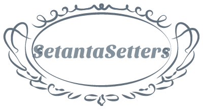 Setanta Setters